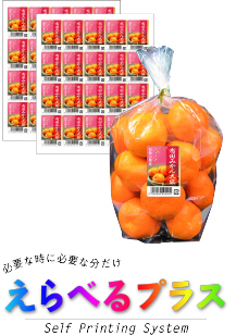 オリジナルデザインのラベルを即時印刷